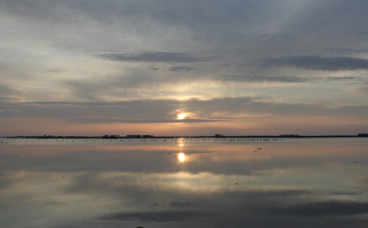 Cigonyes d'Ebre